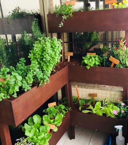 como fazer horta em casa apartamento