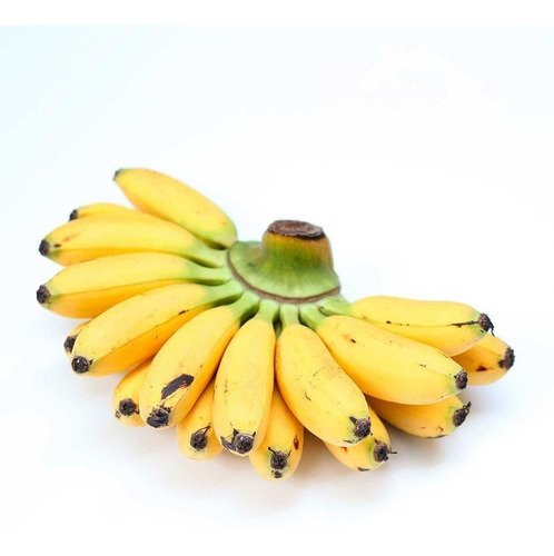 penca de banana